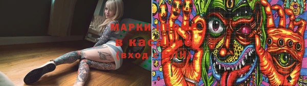 винт Алзамай