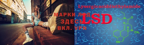 винт Алзамай