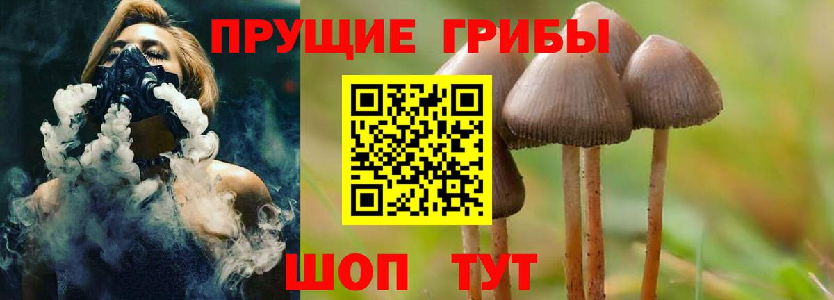Галлюциногенные грибы Psilocybe  Вход с VPN  Йошкар-Ола  Псилоцибиновые грибы мухоморы 